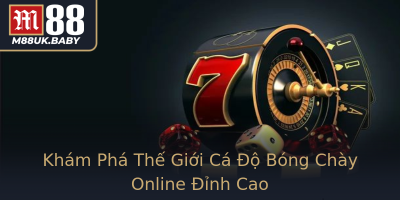 Khám Phá Thế Giới Cá Độ Bóng Chày Online Đỉnh Cao Khám Phá Thế Giới Cá Độ Bóng Chày Online Đỉnh Cao