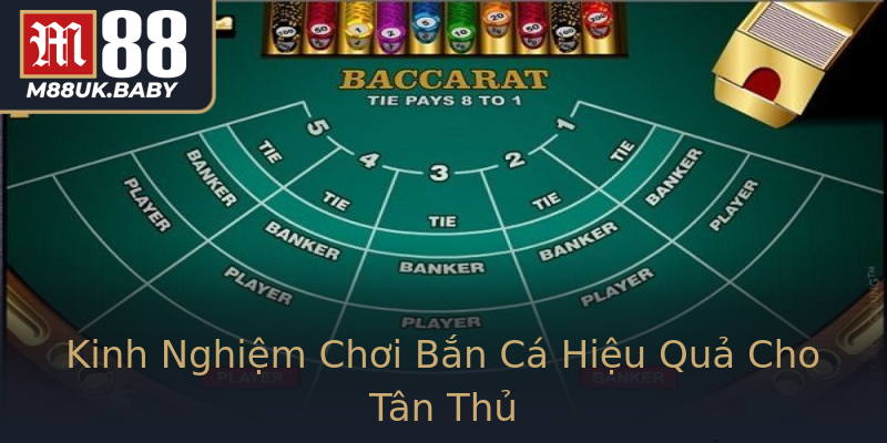Kinh Nghiệm Chơi Bắn Cá Hiệu Quả Cho Tân Thủ Kinh Nghiệm Chơi Bắn Cá Hiệu Quả Cho Tân Thủ