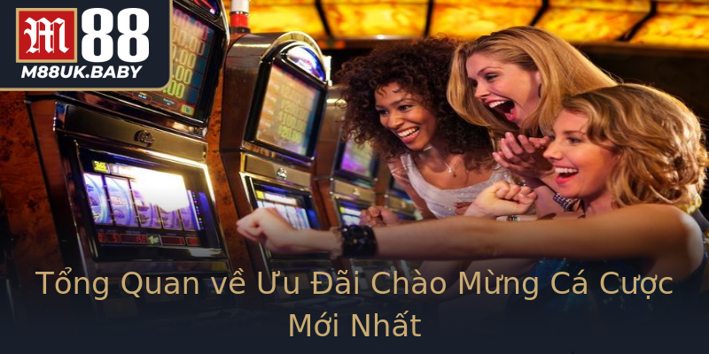 Tổng Quan về Ưu Đãi Chào Mừng Cá Cược Mới Nhất Tổng Quan về Ưu Đãi Chào Mừng Cá Cược Mới Nhất